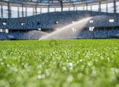 他错过勇士,与湖人,职业生涯关,世界杯赛事,2026世界杯,赛程信息,球队动态,球场介绍