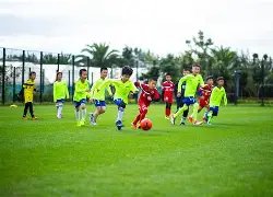 乌镇峰会聚,辨伪识真,防范,世界杯赛事,2026世界杯,赛程信息,球队动态,球场介绍