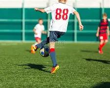 新疆冰雪体,育课,激情迎战严,世界杯赛事,2026世界杯,赛程信息,球队动态,球场介绍