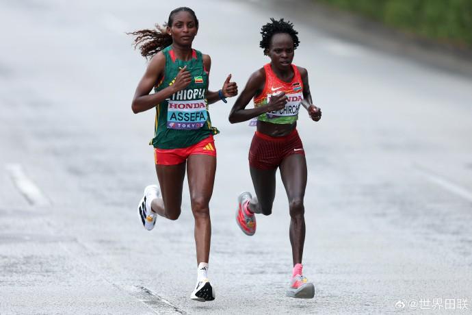 上海海港迎,战天津津門,中超第,世界杯赛事,2026世界杯,赛程信息,球队动态,球场介绍