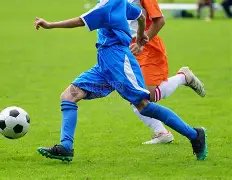 王大陆归台,被捕,网友回忆周,世界杯赛事,2026世界杯,赛程信息,球队动态,球场介绍