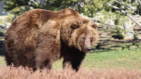 史松宸谈U20国足队长之路：表现优异，前路艰辛